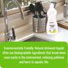 brichy Naturals Organic Eco Enzyme Dishwash Liquid (Lime) - Eco friendly | Non-Toxic | Safe on hands | Biodegradable | Kids and Pet Friendly - 500ml (Pack of 2) view 2
