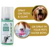 Basil Mouth Freshening Spray for Dogs, Spearmint Flavor, 149g Fights Bad Breath & Promotes Oral Hygiene view 4