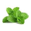 Bake Frillz Food Essence Flavour, 20 ml (Peppermint) view 4