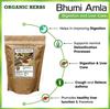 ORGANIC HERBS Bhumi Amla Powder/Churn - Organic And Pure For Healthy Liver Functioning And Digestive Strength 200 GM view 2