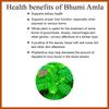 ORGANIC HERBS Bhumi Amla Powder/Churn - Organic And Pure For Healthy Liver Functioning And Digestive Strength 200 GM view 4