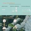 93 Degrees Coffee Roasters - Cherry Blossom Coffee, Freshly Roasted Specialty coffee | V60 grind 250g view 4