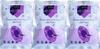 FIKA PURE FOOD Jamun Freeze Dried Fruit Snack:Vegan| 100% fruit|no added sugar| no preservatives| Healthy and Crispy snacks for kids and adults (Pack of 3, 15 gm each) view 1