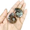 9Dzine Natural Ammonite Fossil Pair Healing Energy Stones for Meditation Reiki Home Dcor Spiritual Growth view 2