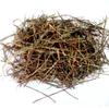 CAREQUE Bhumi Amla - Bhoomi Awla - Phyllanthus Niruri - Fillanto Niruhi -100 Gram view 2