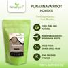 Herbal Spirit Punarnava Powder, 100gm | Punarnava Root Powder | Powdered Punarnava Herb | Boerhavia Diffusa | Nurturing Kidney and Urinary Health view 2