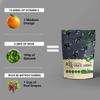BONVIE Freeze-Dried Black Jamun Fruit Snacks  100% Natural, No Sugar, No Preservatives, Gluten-Free, Vegan, Healthy On-the-Go Snack, Shelf-Stable (Pack of 3) view 4