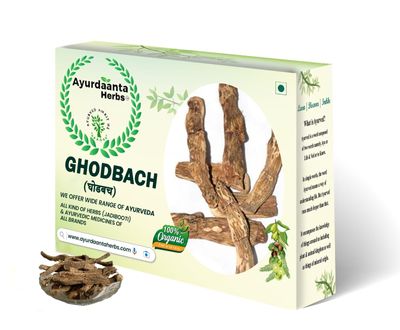 Ayurdaanta Herbs - Ghodbach Powder|Gudbach Jadd Powder |Sweet Flag Root Powder | Gurbach Powder|Bach Powder|Vach Powder | | 450Gr