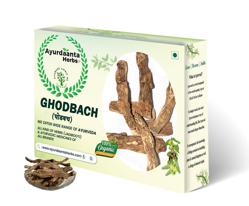 Ayurdaanta Herbs - Ghodbach Powder|Gudbach Jadd Powder |Sweet Flag Root Powder | Gurbach Powder|Bach Powder|Vach Powder | | 450Gr