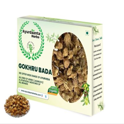 Ayurdaanta Herbs - Gokhru Powder| Bada Gokhru Powder | Gokhru Seeds Powder | Dakhni Gokhru Powder100Gr