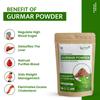 Nutridig Healthcare 100% Natural Gurmar Powder, 100gm | Cleanses Liver & Managed Blood Sugar Level | | For Blood Sugar Level Management & Diabetes Care view 4