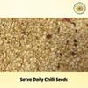 SatvaDaily Red Chilli Seeds 100g | Red Chilli Seeds view 4