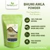 Herbal Spirit Bhumi Amla Powder Organic | Bhoomi Amla Powder | Bhoomi Amla Powder for Liver Health | keelanelli powder | keelanelli powder organic |250 Gram view 2