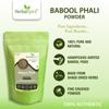 Herbal Spirit Babool Phali Powder | babul phali powder | Babul Ki Fali Ka Powder | Babul Fali Powder | Babool Ki Fali Ka Powder | Acacia Powder | Babool Powder | Babul Powder |250 Gram view 2
