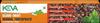 Clove Toothpaste - 100gm (Pack of 2) view 1