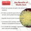 Darshini Mastagi Rumi/Mastic Gum/Mastangi/Pistacia Lentiscus, 10gm view 3