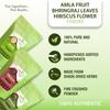 Herbal Spirit Organic Amla Powder, Bhringraj Leaves & Hibiscus Powder for Hair Growth | Hibiscus Flower Powder, Amla Powder for Hair & Bhringraj Powder for Hair Growth | 100gm each view 2
