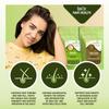 Herbal Spirit Tulsi Powder & Amla Powder for Hair Growth | Organic Amla Powder & Tulsi Powder for Face | Dried Tulsi Leaves & Indian Gooseberry | Dried Tulsi Leaves & Amla Churna Powder | 100gm each view 3