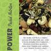 20-20 Dry Fruits Healthy Trail Mix Jar 400 g(200g Jar*2) - Dried Cranberries, Strawberry, Kiwi, Melon Seed,Flax,Sunflower, Pumpkin, Roasted Cashew, Roasted Almond ,Black Raisins | Healthy Gift Hamper (Pack of 2) view 2
