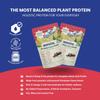 Hemptyful Balanced Plant Protein | 24g Protein per Serving | 4.5g BCAAs | Hmp-Pea Protein Blend | Complete Amino Acid Profile | Gut Healthy Digestible (450g, Belgian Chocolate)) view 2
