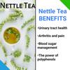 Asian Herbs Natural Himalayan Stinging Nettle Tea - Herbal Tea for Wellness, Detox & Vitality | Packed with Nutrients, Antioxidants & Minerals (50grams) view 3