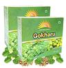 Sunchan Group Gokharu Gokshura Tribulus terrestris Sabut whole Gokharu 200 Gm (Pack of 2) view 1