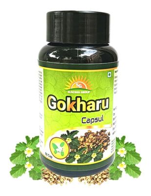Sunchan Group Gokharu Capsule Tribulus terrestris Sabut whole Gokharu 60 Capsules (Pack of 1)