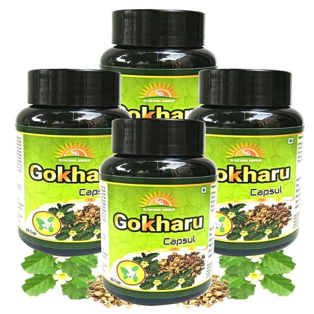 Sunchan Group Gokharu Capsule Tribulus terrestris Sabut whole Gokharu 240 Capsules (Pack of 4)
