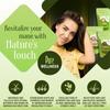 Herbal Spirit Methi Seeds, Curry Leaves Powder & Amla Powder for Hair Growth | Organic Amla Powder, Kadi Patta Leaves And Fenugreek Seeds Powder | 100gm each (Pack of 3) view 3