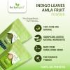 Herbal Spirit organic Amla Powder for Hair Growth & Indigo Powder Organic for Hair Black | Amla Churna Powder & Organic Indigo Powder for Hair | Natural Indigo Powder for Hair | 100gm each (Pack of 2) view 2