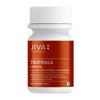 Jiva Triphala Ghrit  A Natural Digestive Aid | Helps in Vision, Better Eye-Sight & Eye Disorders- 200g (Pack of 1) view 1
