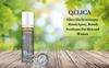 QELICA Mens and Womens Silver Elachi Instant Mouth Freshner Spray | Longlasting Freshness, Gumand Tooth Protection |Multi | 10 G (Pack of 1) view 2