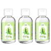 BIO Himalayan Tulsi ARK | Pure Tulsi Drops, Hydrosol | Pure Holy Basil Water for Skin Conditioning, Digestion and Immunity | 100 ml|New-BIO-11-Pack of 3 view 1