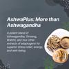 Apex Man AshwaPlus Capsules (500 mg) | Ashwagandha Extract Capsules with Ginseng and Five More Potent Herbs | Advanced Ashwagandha Capsule Formulation for Men to Manage Physical and Mental Stress view 4
