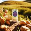 100% PURE Ginger Powder (Hilly) | Premium Spice | Ethically Grown (Pack of 1, 200, gram) view 2