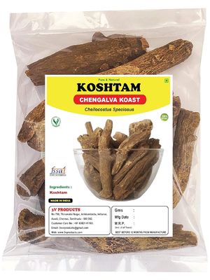 3V PRODUCTS Dried Koshtam Root 100Gm | Cheilocostus Speciosus | Chengalva Koast (Whole)