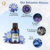 Aroma Monk 100% Pure Blue Lotus Essential Oil | Steam Distilled Lotus Essential Oil For Diffuser| Aromatherapy Diffuser Oil - 15ml view 4