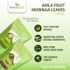 Herbal Spirit Moringa Powder Organic & Amla Powder for Eating | Organic Moringa Powder & Amla Powder for Drinking | Drumstick or Moringa Leaves Powder & Gooseberry Powder | 100gm each (Pack of 2) view 2