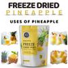 FzyEzy Healthy Premium Freeze-Dried Pineapple Fruit Slices | Pantry Groceries Dehydrated Perfect for Healthy Snacking, Candy, Baking, Smoothie, Juice, Cake, Ice cream, Cereal | Promotes Good Digestive Health | Ideal Slices for Kids & Adults (150g) view 4