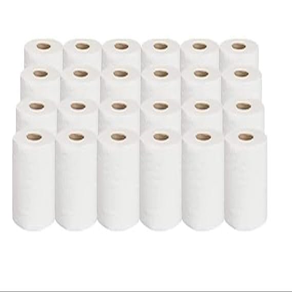 EFS Toilet Roll Tissue Paper Ultra Soft Highly Absorbent Pack of 24 (350 sheets Per Roll)