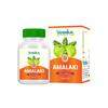 Sushila Herbal Amalaki Tablet | 60 Tabs (Pack of 1) Amla Rasayana | Detoxifies Body | Rich In Vitamin C | Boosts Immunity | Improves Digestion view 1