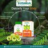 Sushila Herbal Amalaki Tablet | 60 Tabs (Pack of 1) Amla Rasayana | Detoxifies Body | Rich In Vitamin C | Boosts Immunity | Improves Digestion view 2