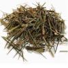 Dambu Herbs KALMEGH Chiraita Chiretta Bitter Stick Swertia Chirata Dry -400 Gms Chirayta stick view 2