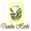 Dambu Herbs Giloy Gudchhi Giloy stick dried - 400 Gms view 3