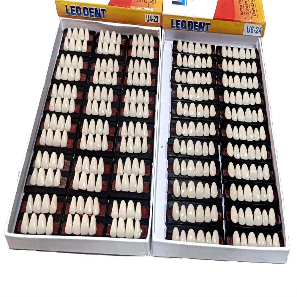 Dental Leo Dent Acrylic Teeth Kit Sets Shade Of Teeth (Upper 4-23, Upper 6-24)