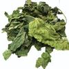 A D Food & Herbs Dried Mulberry Leaves Edible and Pure Combo Packs (20 Gms x pack of 3) view 3
