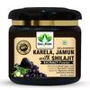GargRishi Karela Jamun with Shilajit Powder 200gram Natural Blood Sugar Management & Stamina Booster | Blend of 14 Potent Ayurvedic Herbs for Energy and Immune Support | Vitality & Digestive Health (200 Gram, 1, count) view 1