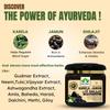 GargRishi Karela Jamun with Shilajit Powder 400gram Natural Blood Sugar Management & Stamina Booster | Blend of 14 Potent Ayurvedic Herbs for Energy and Immune Support | Vitality & Digestive Health (400 Gram, 2, count) view 2