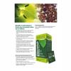 Nutrilong Chlorophyll Detox - Natural Detox & Digestive Health Supplement, 30 Sachets, Supports Digestive Wellness & Body Cleansing view 2