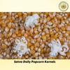 SatvaDaily Pop Corn Kernels 1Kg - Big Size | High Expansion, A Grade Makkai Popcorn view 3